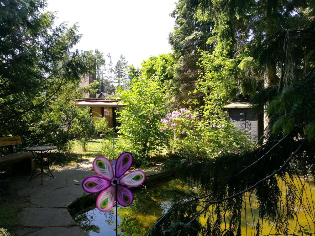 Langlingen Taras Ferienwohnung מראה חיצוני תמונה